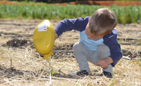 Occupy Baby taking care of a baby plant. We want both of them to grow healthy and well. ~danilo