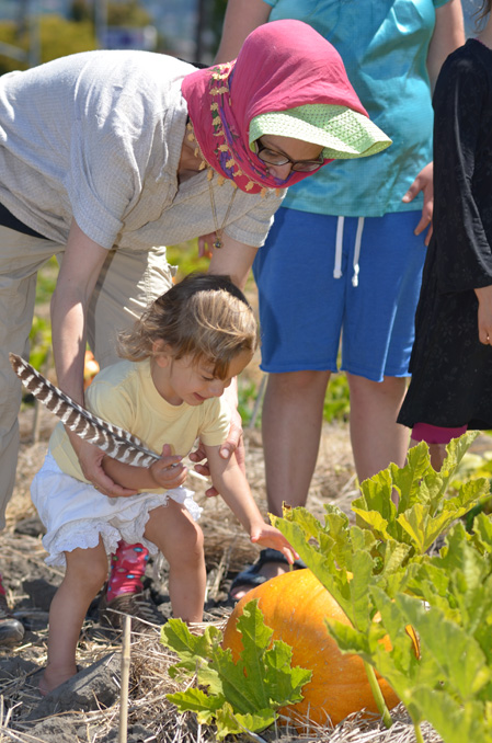 OccupyTheFarm second harvest at the Gill Tract \u2013 8\/19\/2012 Photos+Videos - Occupy Oakland