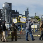 ILWU Local 4 Picket United Grain