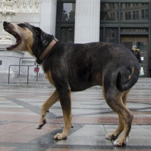 Einstein8808389_square