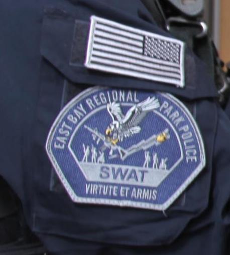 VIRTUTE ET ARMIS & the American flag. Virtue & guns. It looks like the eagle is attacking the people.