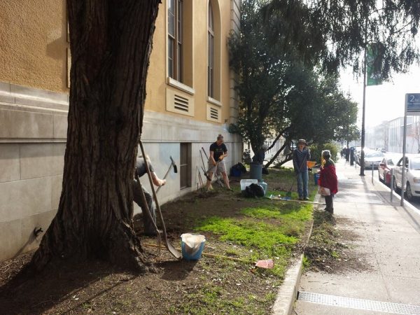 community-garden-j10-1