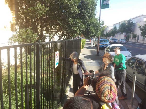 stein-guerilla-gardening-6-4-16